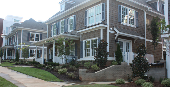 Wendy Field Consulting